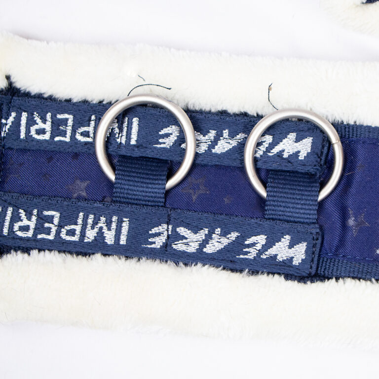 IMPERIAL RIDING Longiergurt Deluxe Extra - Professioneller Nylon-Gurt Mit Neopren-Futter