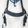Showmaster Longierhalfter schwarz WB – Bild 3