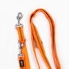 Anione Führleine "Comfort" Nylon orange 3m – Bild 2