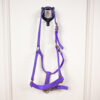 Wildhorn Halfter Loony Lila WB