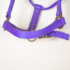 Wildhorn Halfter Loony Lila WB – Bild 2