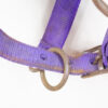 Wildhorn Halfter Loony Lila WB – Bild 5