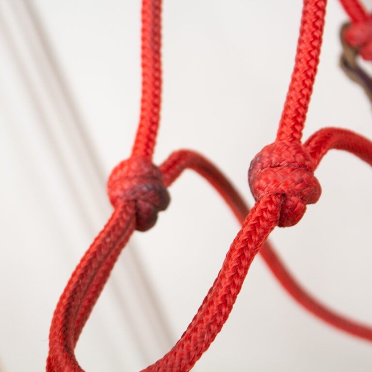 JF-Reitsport Bodenarbeitsseil Mit Karabiner - 6,9m Pferdetrainingsseil In 7 Farben