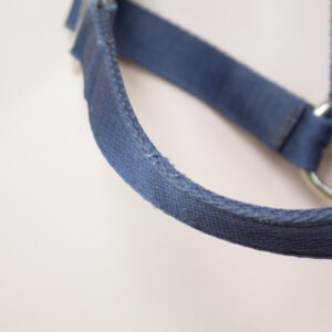 Dog & Horse Halfter navy COB