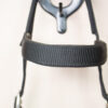 Showmaster Kappzaum schwarz COB – Bild 3