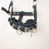 Showmaster Kappzaum schwarz COB – Bild 5