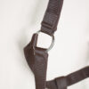 Irish Innovation Halfter Terni braun COB – Bild 3