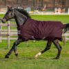 Horseware Ireland Amigo Outdoordecke Hero Ripstop Turnout mit Fleecefutter 50g fig 145