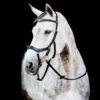 Horseware Micklem® Multi Bridle schwarz WB