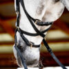Horseware Micklem® Multi Bridle schwarz WB – Bild 2