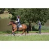 Showmaster Skijöring Ganzjahres Set schwarz COB