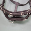 Tajara Horsewear Kappzaum mit Sidepullfunktion schwarz Norweger – Bild 2