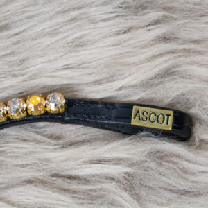 Ascot geschwungener Stirnriemen Devine gold COB