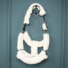 Showmaster Teddyfleece Halfter Protection natur COB