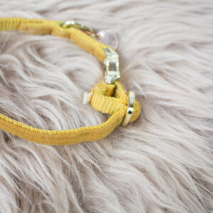 Kentucky Halsband Velvet mustard XXS