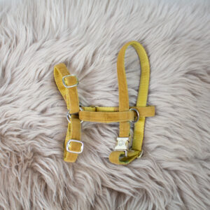 Kentucky Hundegeschirr Loop Velvet mustard XS