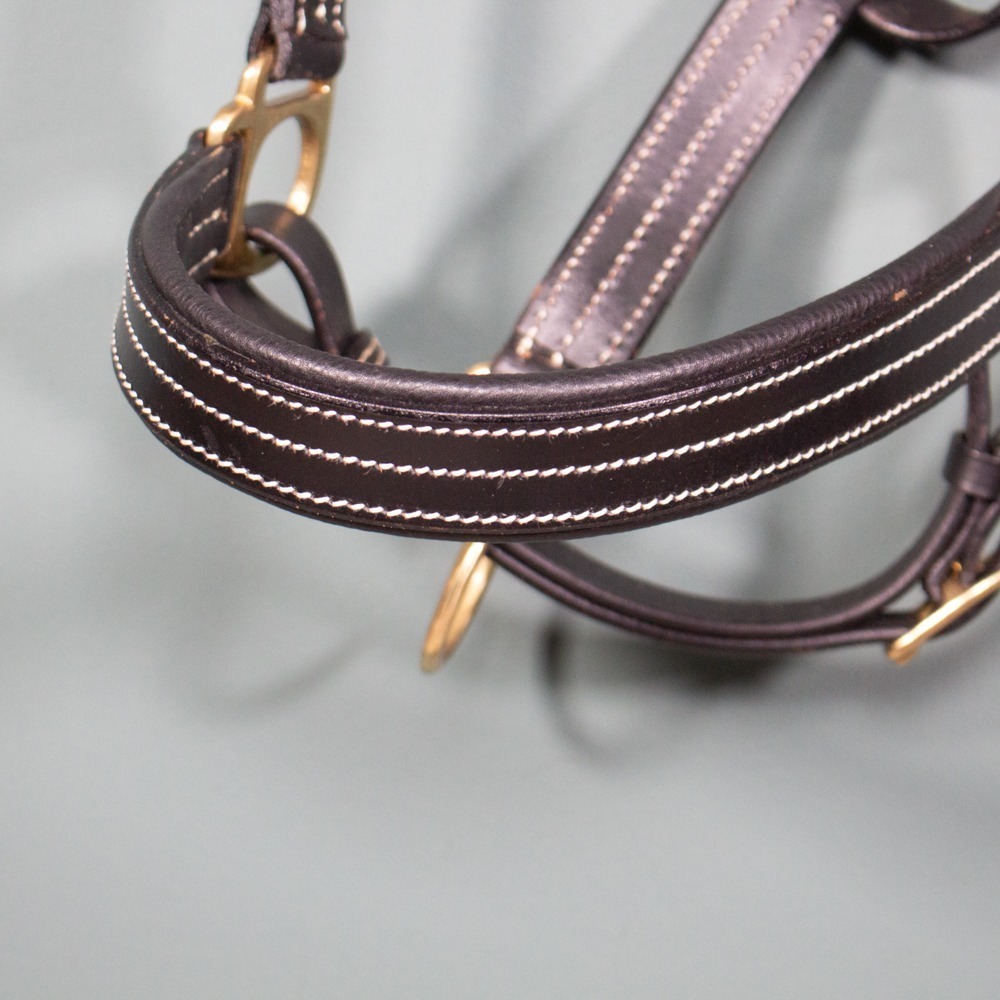 Claridge House Lederhalfter Graveur schwarz COB – Bild 2