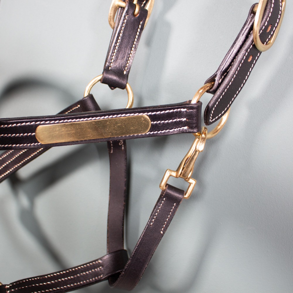 Claridge House Lederhalfter Graveur schwarz COB – Bild 3