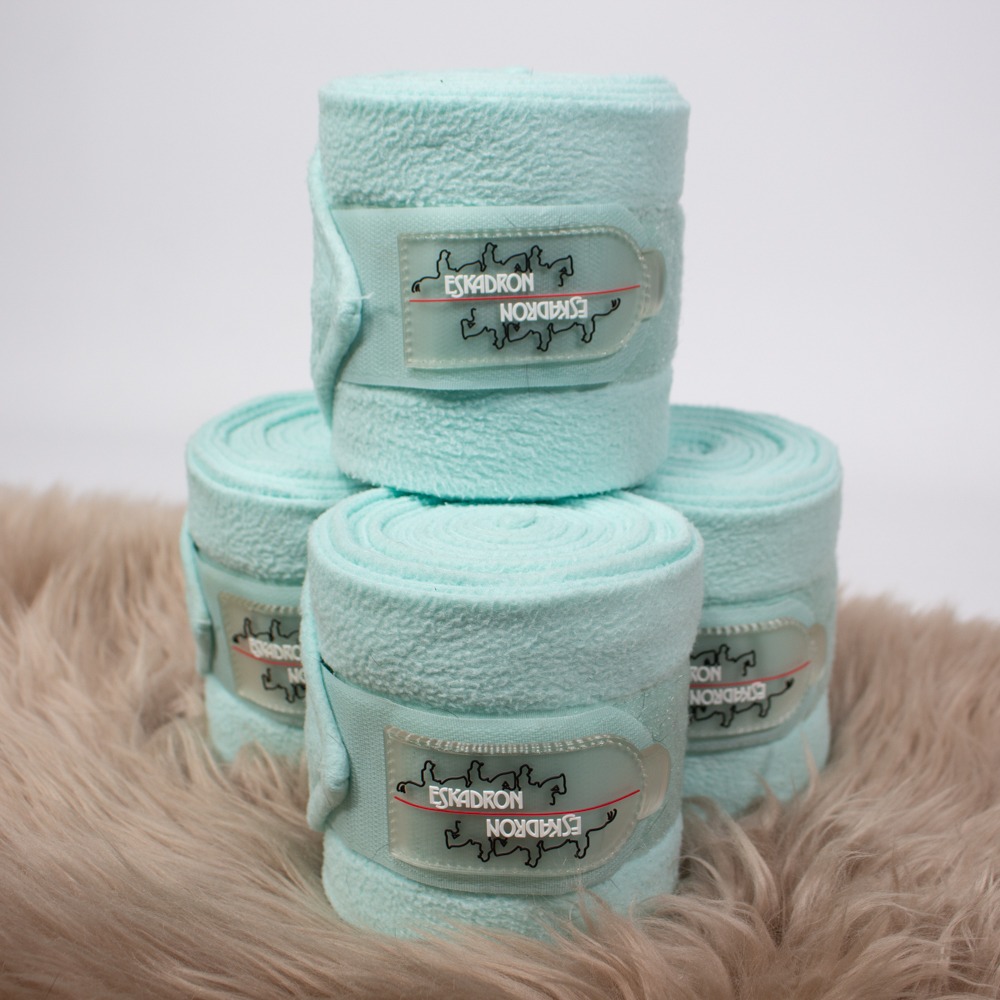 Eskadron Bandagen ice WB