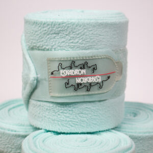 Eskadron Bandagen ice WB