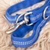 Anione Leine blau 260 cm – Bild 3