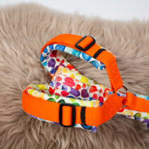 Chatha’s Hundegeschirr orange L