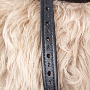 Prestige Steigbügelriemen schwarz 145 cm