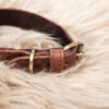 Halsband Leder braun S – Bild 2