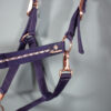 Showmaster Halfter navy WB – Bild 3