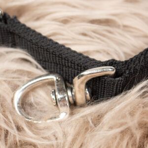 Longierbrille schwarz