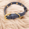 Dosha Dog Halsband mit Leine blau – Bild 2