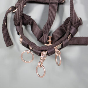 Showmaster Kappzaum schwarz WB