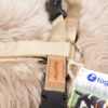 together Hundegeschirr gold – Bild 3