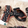 Pretty Pet Hundegeschirr mit Leine Sterne schwarz – Bild 2