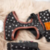 Pretty Pet Hundegeschirr mit Leine Sterne schwarz – Bild 3