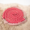 Longierhilfe rot WB