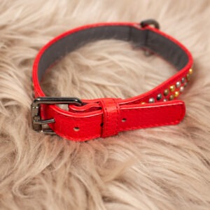 M & P Halsband Nieten rot S