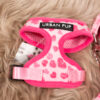 Urban Pup Hundegeschirr mit Leine Herzen rosa XXS – Bild 2