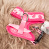 Urban Pup Hundegeschirr mit Leine Herzen rosa XXS – Bild 3
