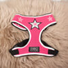 Hip Doggie Hundegeschirr pink M
