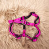 Nobby Hundegeschirr pink M