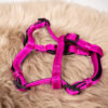 Nobby Hundegeschirr pink M – Bild 2