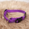 rogz Halsband lila M