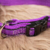 rogz Halsband lila M – Bild 2