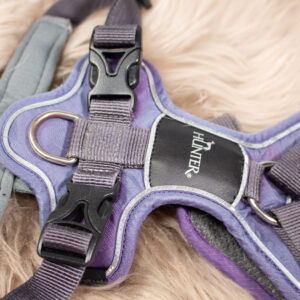 Hunter Hundegeschirr lila M
