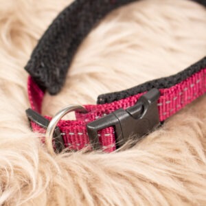 Petlando Halsband lila M