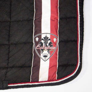 Eskadron Schabracke Big Square black DR