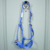 Loesdau Halfter blau WB