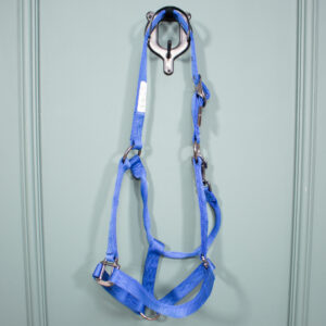 Loesdau Halfter blau WB