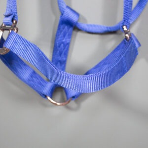 Loesdau Halfter blau WB